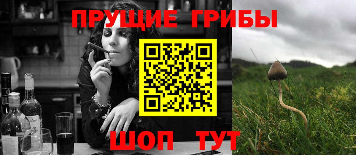 Псилоцибиновые грибы Psilocybe Чусовой
