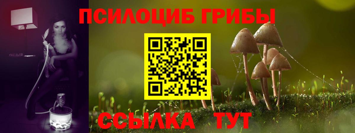 Псилоцибиновые грибы Psilocybine cubensis  Галлюциногенные грибы мицелий  Вход с VPN  Чусовой 